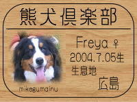 �I�[�i�[�́A���r������ł���